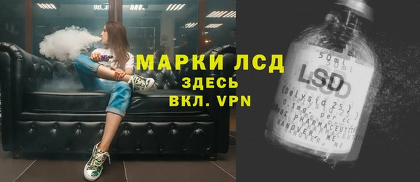 индика Аркадак