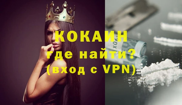 индика Аркадак