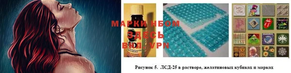 индика Аркадак