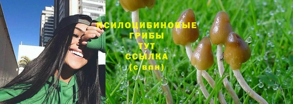 дмт Армянск