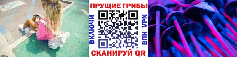 как найти наркотики  Еманжелинск  Галлюциногенные грибы Psilocybe 