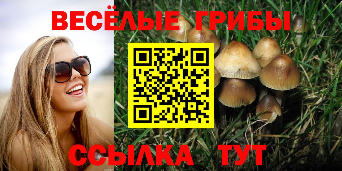 Еманжелинск  Галлюциногенные грибы MAGIC MUSHROOMS  Вход с VPN 