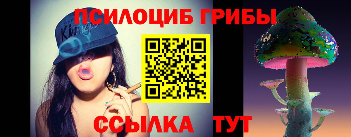 Псилоцибиновые грибы Psilocybe Еманжелинск